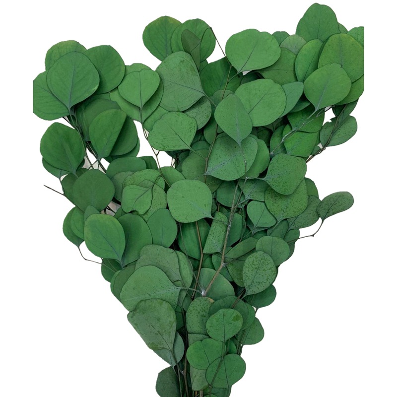 微信图片_20200414161859