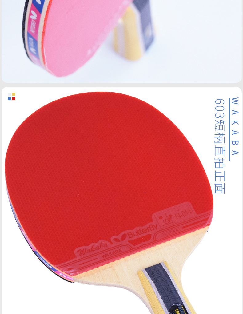 蝴蝶六星_21.jpg