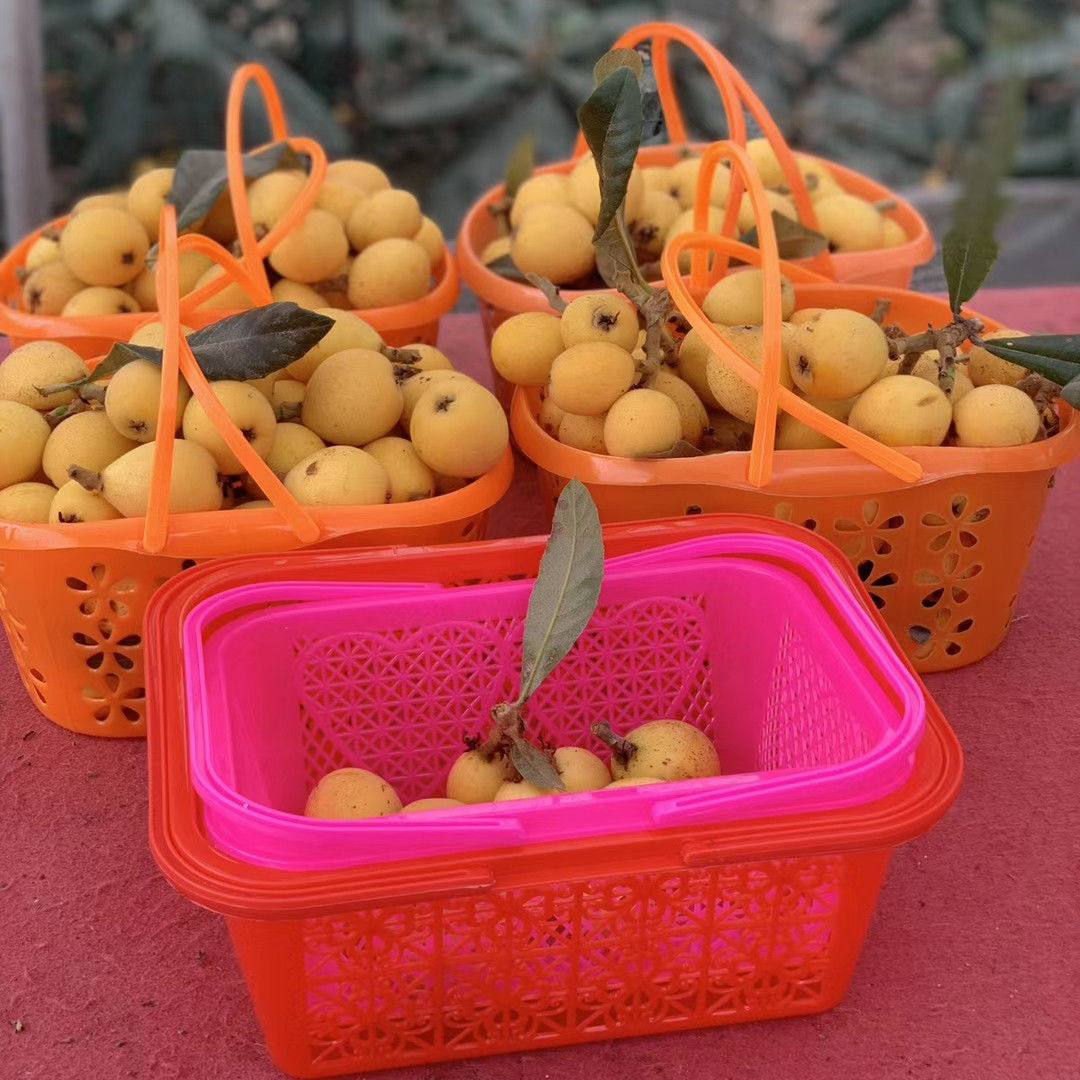 草莓采摘篮塑料水果篮-斤蓝莓樱桃桑葚杨梅手提塑料筐快递包邮详情19