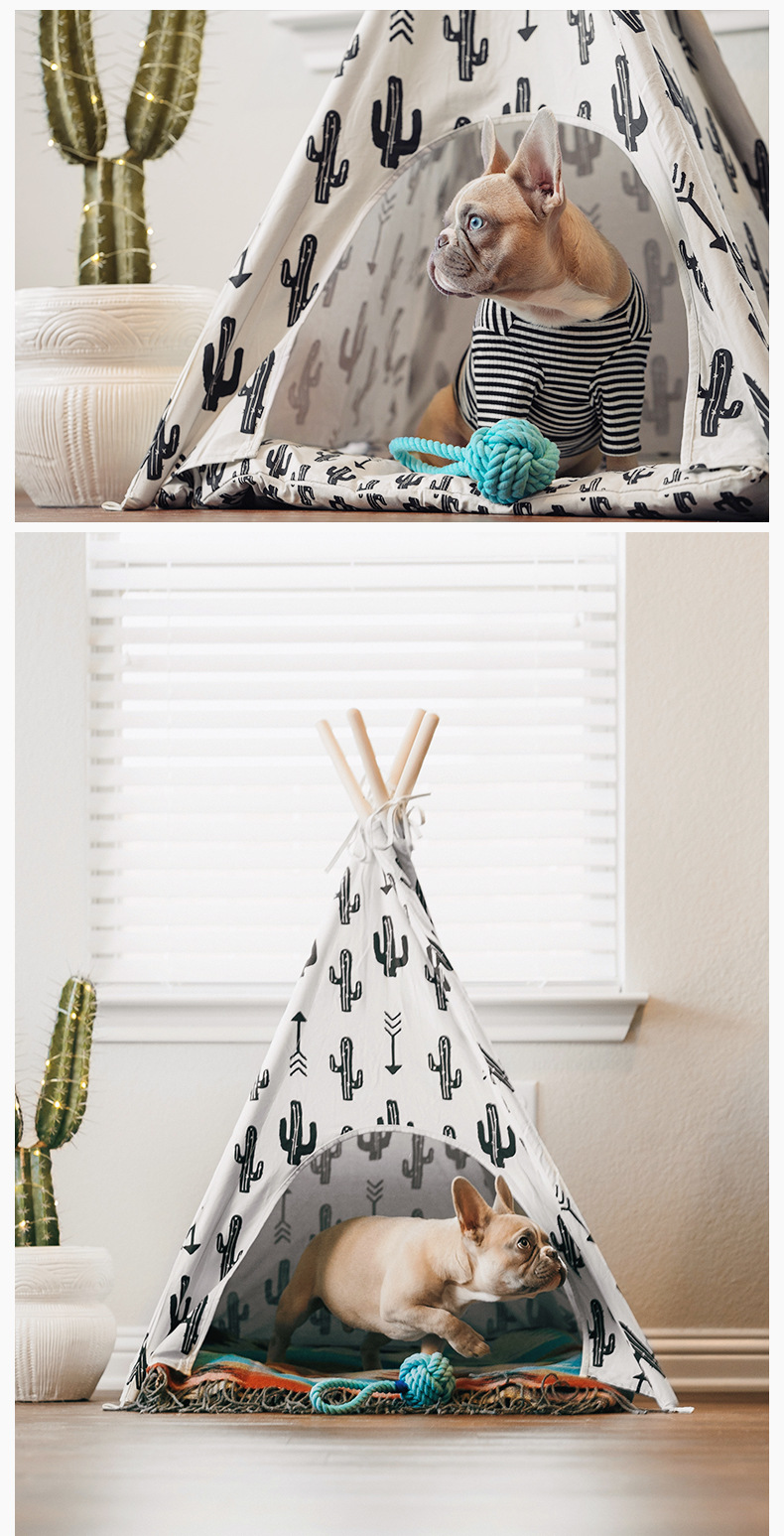 亚马逊宠物背带喂食器猫狗饮水机止吠器产品拍照摄影视频制作服务详情7