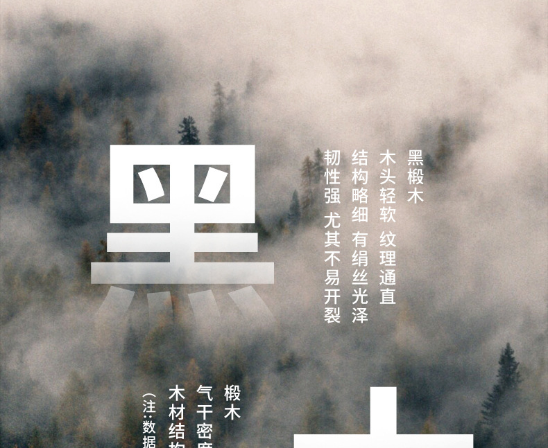 鸿星文具黑木铅笔 光亚结合热转印沾顶德国芯铅笔 盒装圆杆HB铅笔详情1