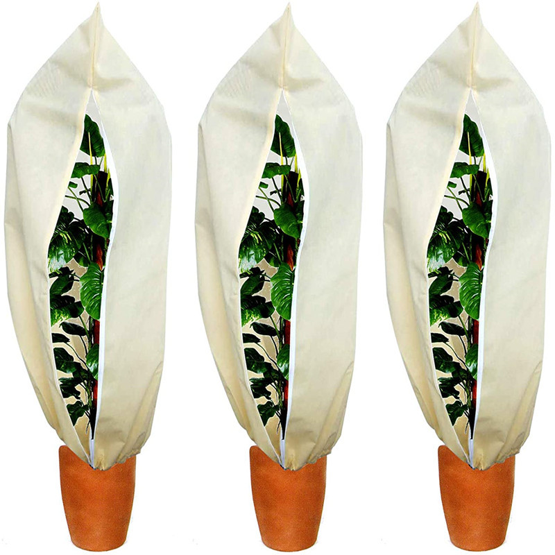 71dsT+unLUL._AC_SL1500_