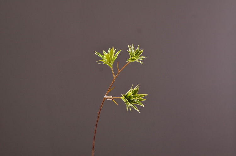 Dongli Factory direct sales, wholesale of artificial flowers, purple mist grass, purple dew grass, home decoration, artificial living room model rooms, artificial flower ornaments, one-piece consignment pic 7