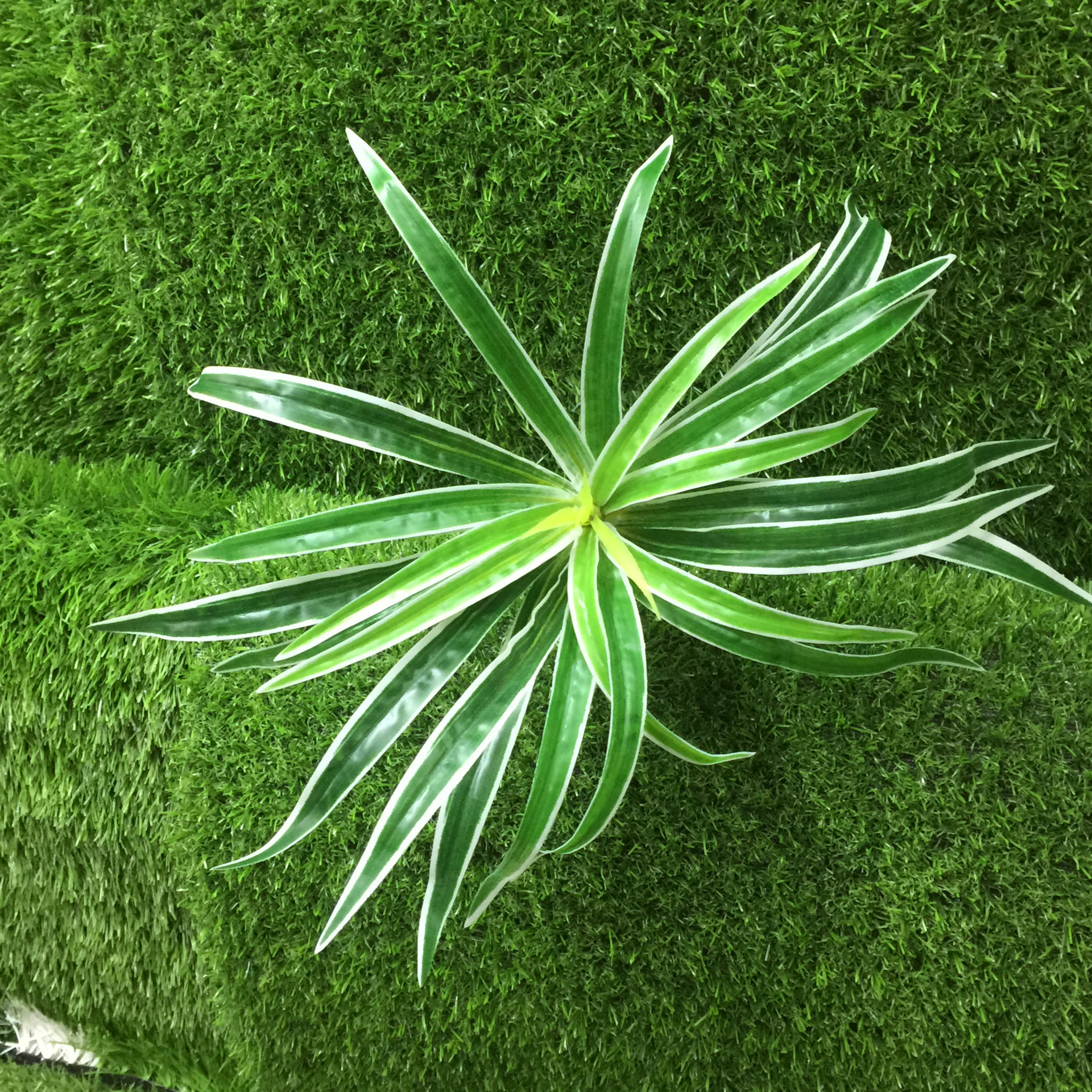 Laminated artificial white-edge spider plants, green artificial plant wall materials, small-leaf orchid artificial flowers, artificial flower decoration pic 3