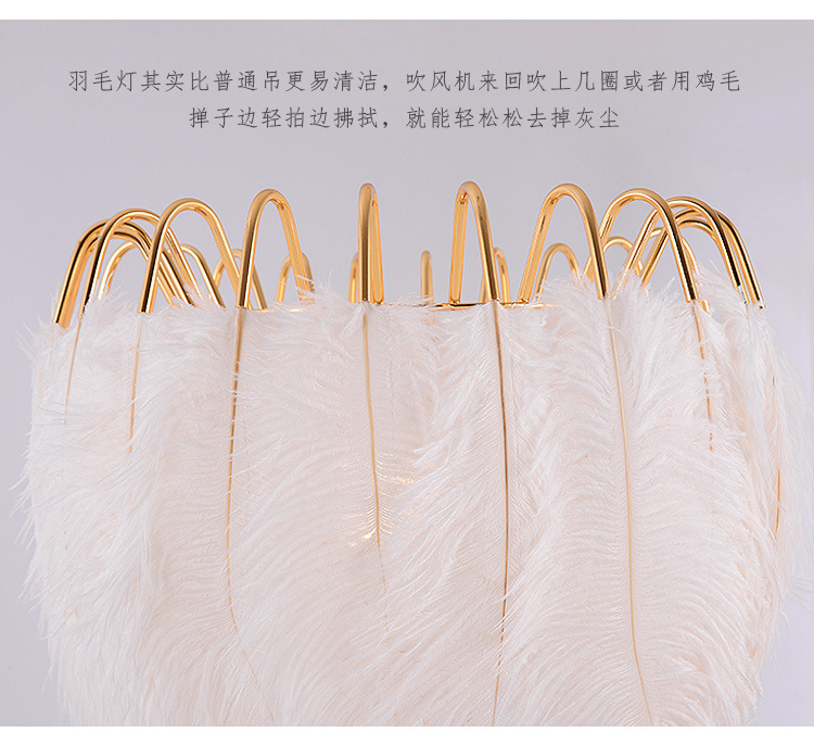 Factory direct sales, popular American-style feather floor lamps, princess bedroom ostrich feather lamps, light luxury European-style living room floor lamps pic 7