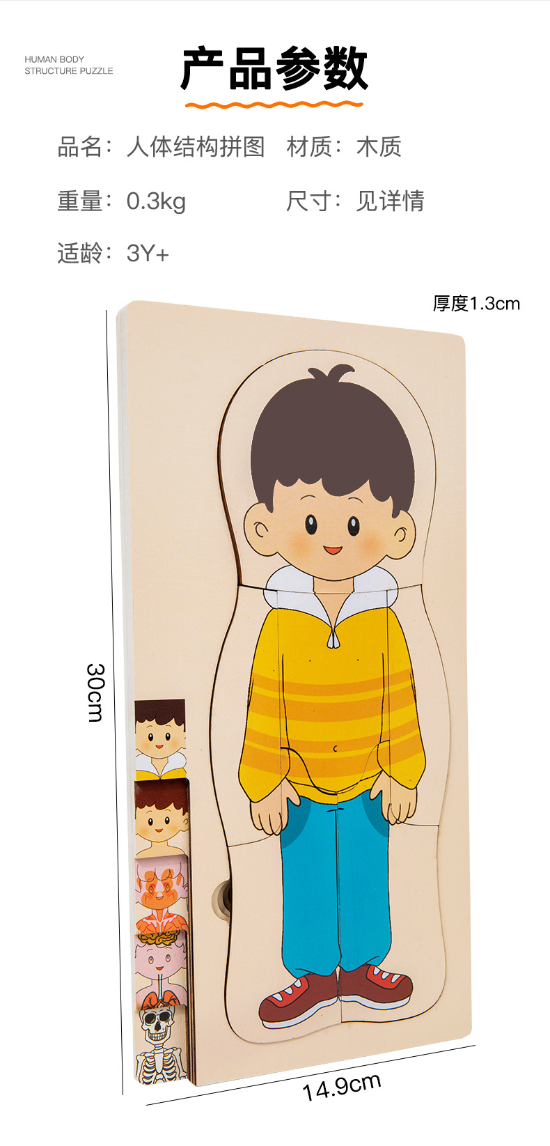 Children's early education character body structure cognition puzzle, brain multi-layer board puzzle, intelligence development wooden toys pic 10