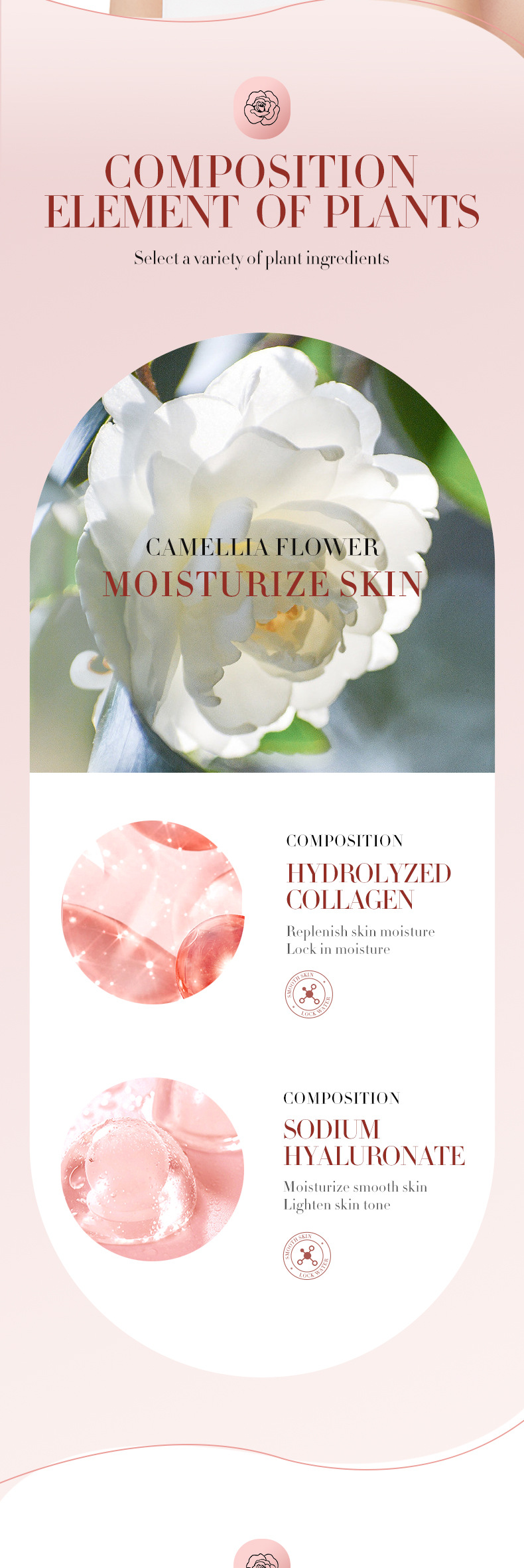 Cross-border BIOAOUA Camellia Antioxidant Nourishing Essence Hydrating, Moisturizing and hydrating Skin Repair Essence Essence pic 4