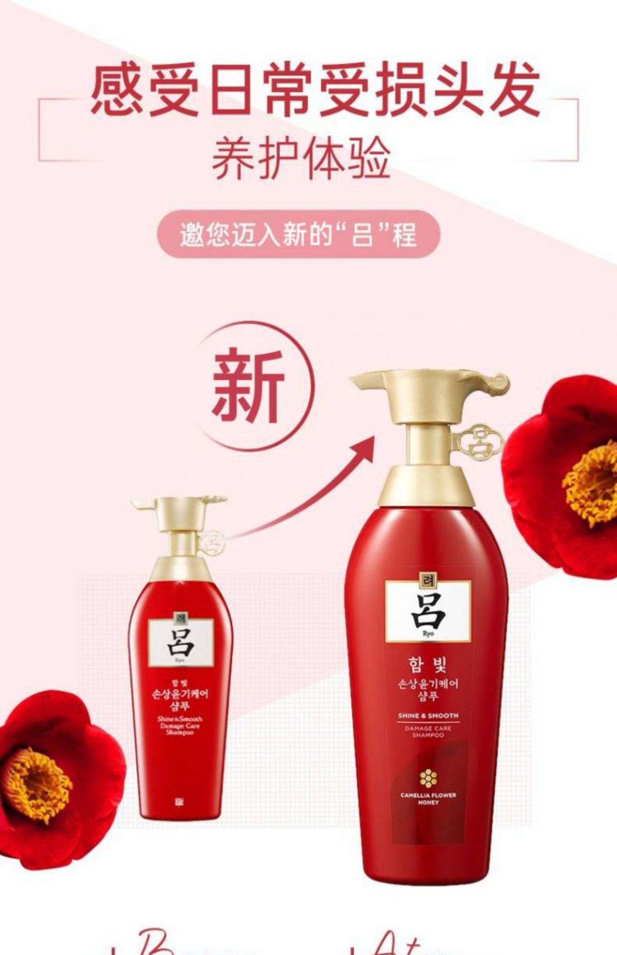 红吕洗发水紫黑蓝吕洗发水控油去屑止痒洗头膏柔顺护发素正品批发详情3