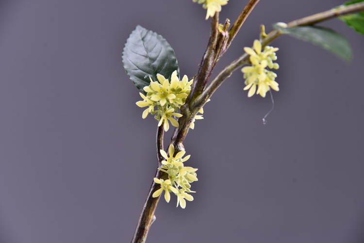 Wholesale artificial yellow osmanthus and laurel, green landscape garden artificial trees, decorative golden osmanthus leaves, home, hotel and homestay artificial flowers pic 32