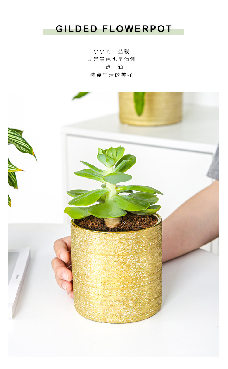 Chinagoods Du Qi Hotel supplies: European-style simple and creative ceramic brushed, gold-plated and silver succulent combination export flower POTS, handicrafts and flower vases pic 3
