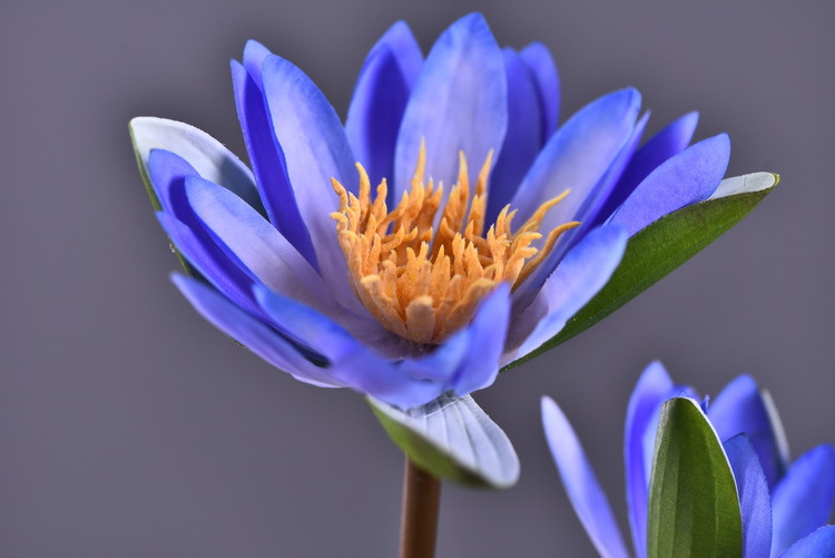 Wholesale manufacturer of artificial water lilies, direct sales of artificial flowers for wedding, home, hotel and homestay soft furnishings, artificial flowers, and photography props pic 6