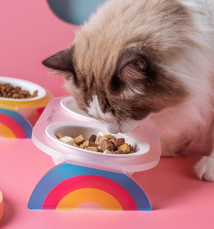 猫碗陶瓷双碗水碗粮碗高脚倾斜护颈椎宠物碗彩虹亚克力架宠物用品详情10