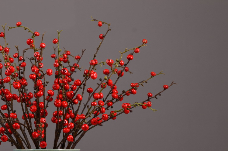 Artificial rosehip, artificial plant fruit, berry, American decorative floral arrangement materials, photography props pic 9