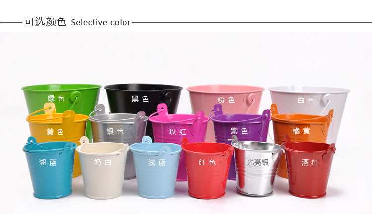 婚庆产品家居装饰摆件金属工艺品迷你铁皮小铁桶 创意马口铁多肉植物花盆详情8