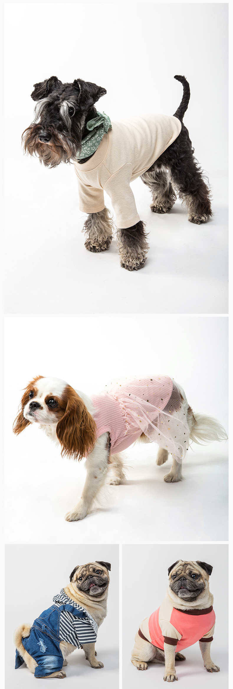 亚马逊宠物背带喂食器猫狗饮水机止吠器产品拍照摄影视频制作服务详情16