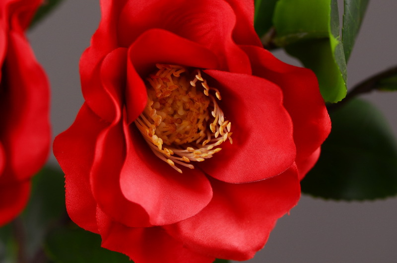 High-end artificial camellia wholesale from the original factory, ins home, hotel, banquet table flowers, cross-border pic 17