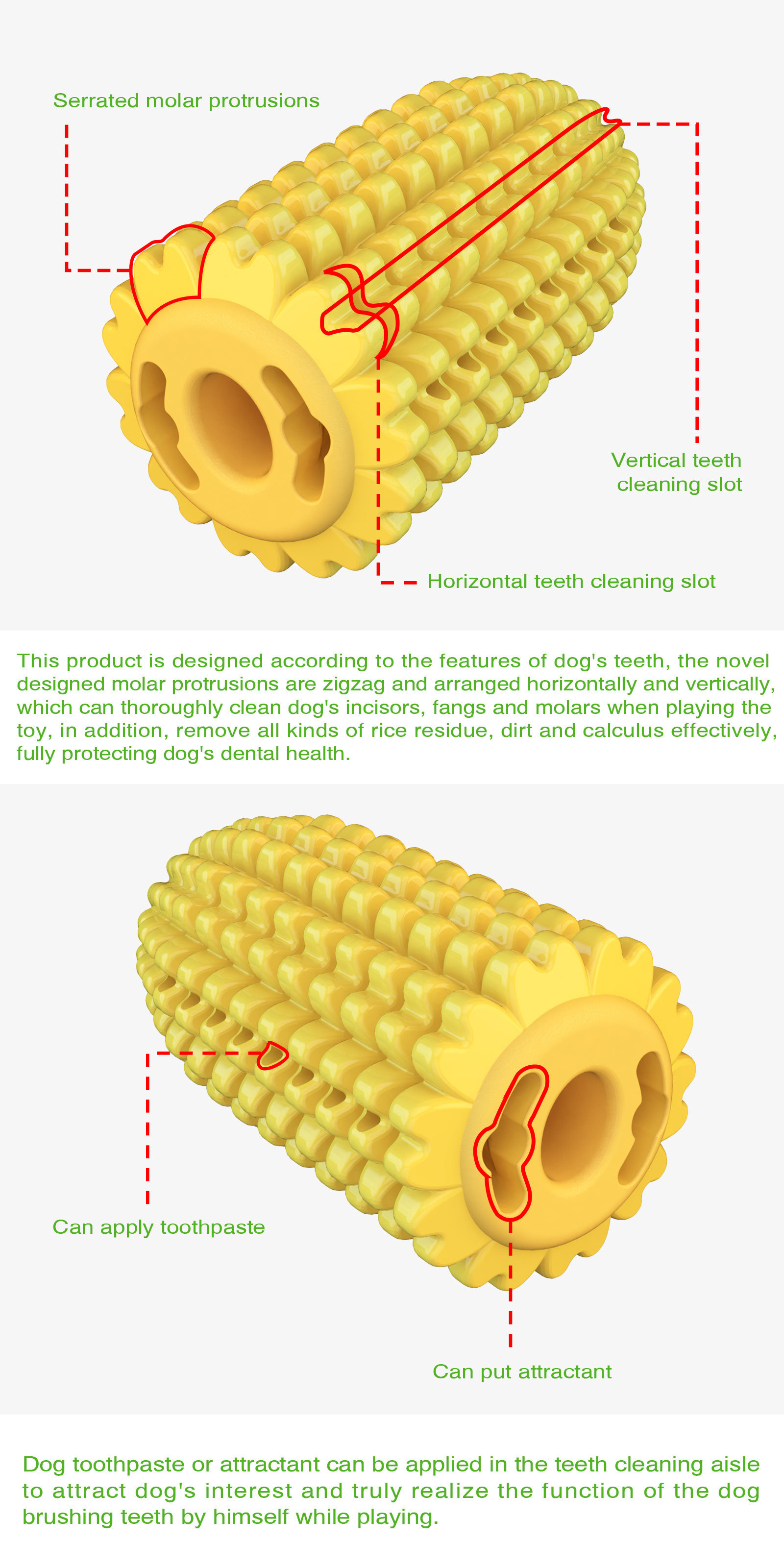 Amazon cross-border dog teething sticks, cotton ropes, corn chewing dog toys, floating dog toothbrushes, pet supplies pic 18