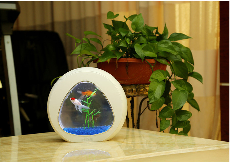 Sunsen Fish Tank Creative Mini Fish Tank Filtration, Lighting and Circulation three-in-one Desktop aquarium Christmas gift pic 15