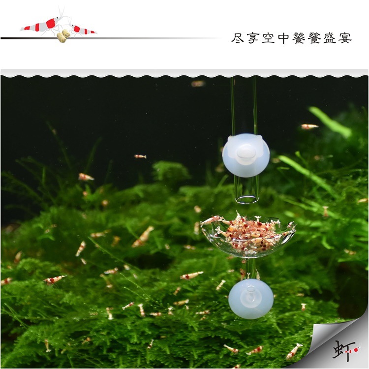 Ornamental fish and shrimp feeding tubes, aerial feeding basins, aquatic plant tanks, fish tanks, crystal shrimp tanks, acrylic feeders pic 9