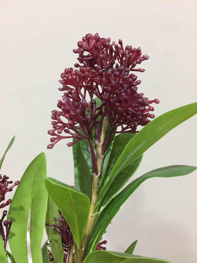 Dongli Flower Industry Factory offers direct sales and wholesale of indoor artificial green plants, home artificial flowers, cloves, bean branches, soft gum fruits, seeds and branches pic 7