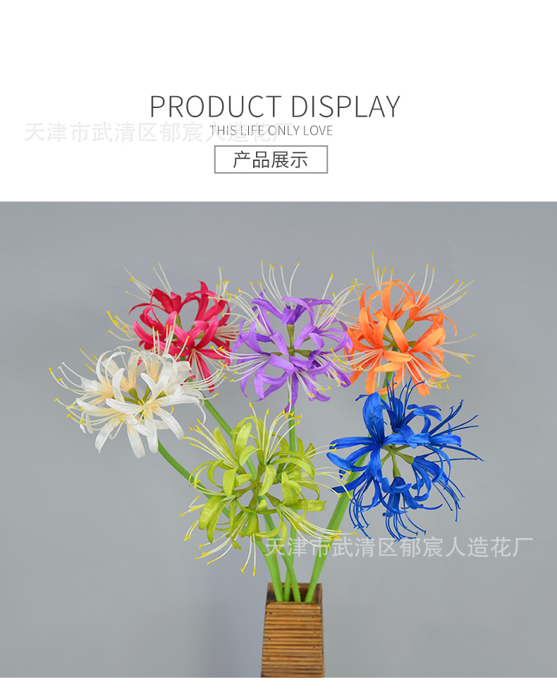 详情_12.png