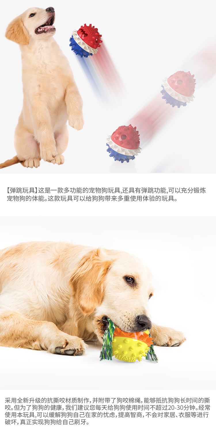 Amazon, a pet supplies manufacturer, offers floating dog teething sticks, sound-making dog toys, and pet toothbrushes pic 17