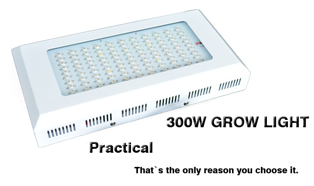Luz LED 55*3W planta crece luz invernadero invernadero de espectro completo luz de crecimiento rápido pic 13
