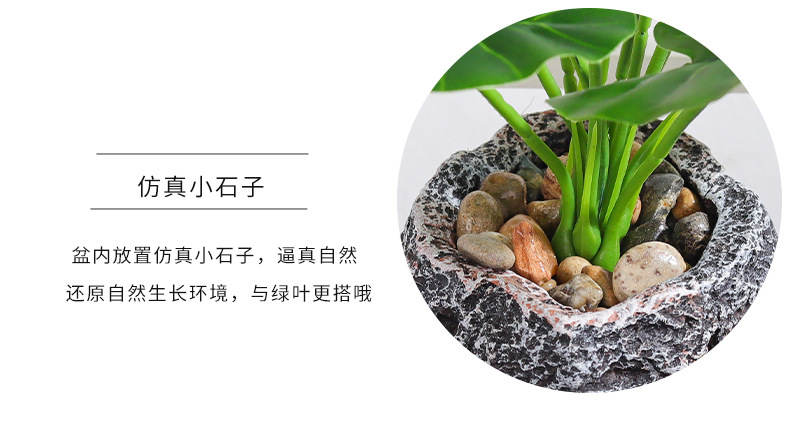 Nordic InS-style simulated pothos and turtle-back leaf potted plants, living room desktop simulated green plant potted plants, home decoration ornaments simulated potted plants pic 15