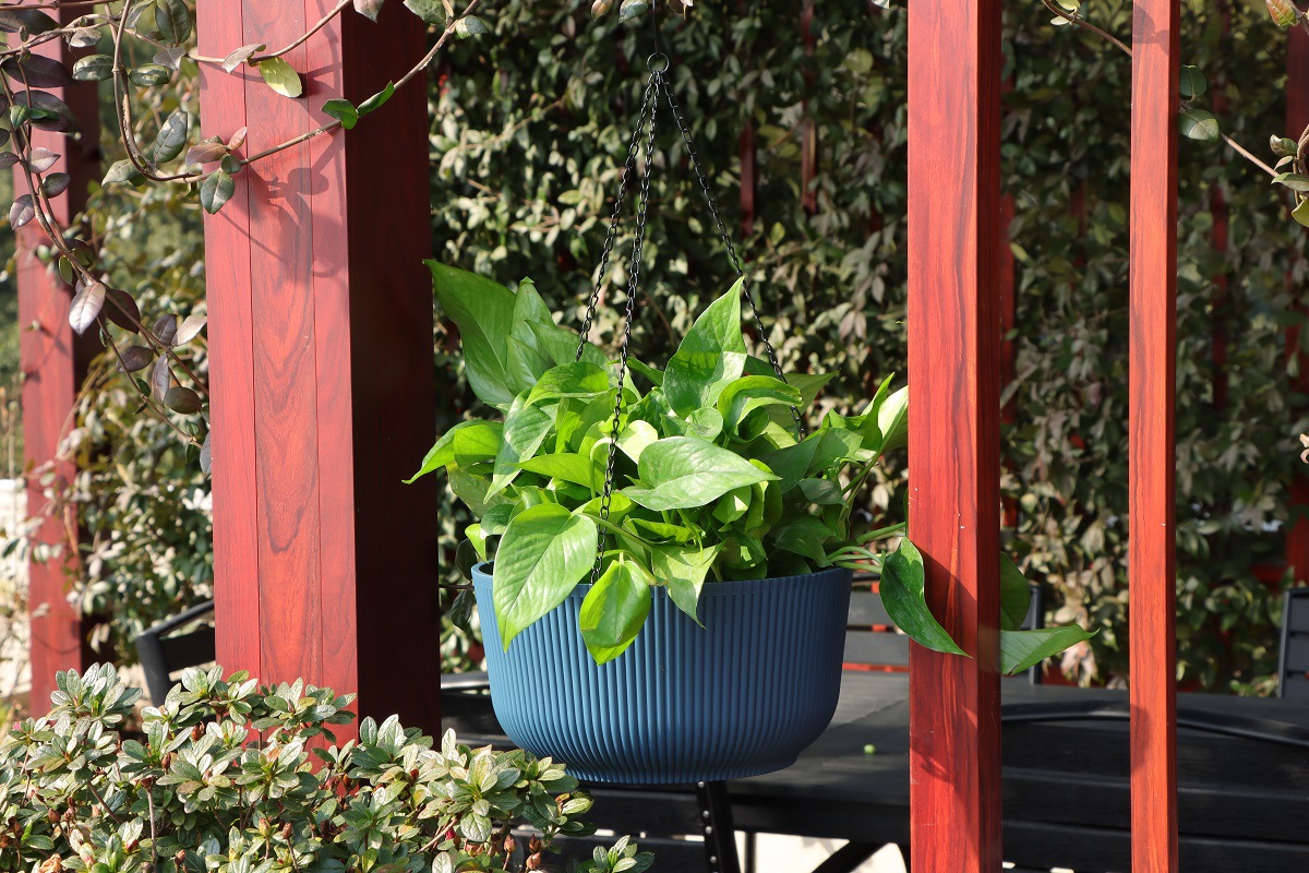 悬挂家居阳台吊篮花盆花篮藤编装饰北欧现代风格绿萝园艺义乌出口悬挂家居阳台吊篮花盆花篮藤编装饰北欧现代茏达森园艺详情32