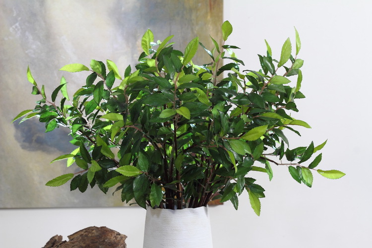 Dongli Factory direct sales, wholesale of olive leaf branches, artificial leaves, artificial leaves, Ins-style interior decoration, flower arrangement plants, wall accessories, artificial green plants pic 8