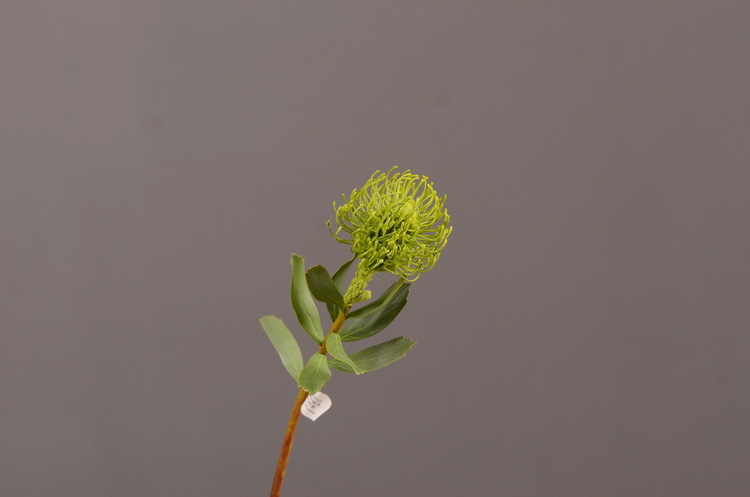 Factory direct sales, wholesale of in-stock inventory of artificial large needle cushion flowers, artificial flower sets, wholesale of living room, dining table, entrance hall, desktop decoration, flower arrangement and ornaments pic 48