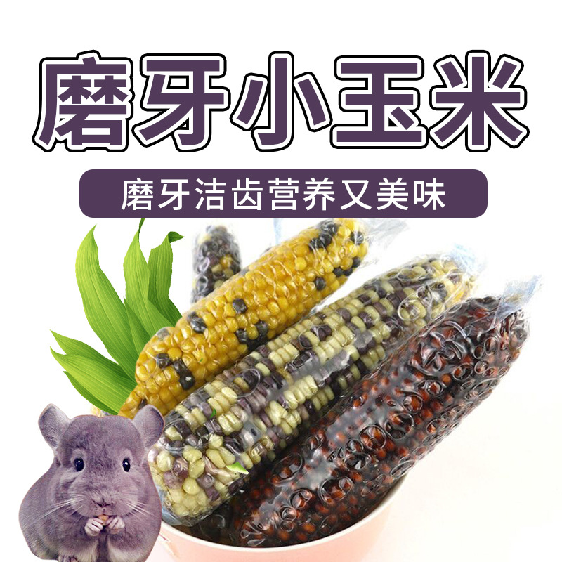 清仓22年现货玉米 饲料主粮兔子仓鼠磨牙小玉米 仓鼠玉米宠物用品详情38