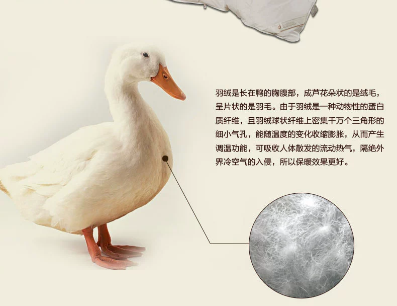 Shefan five-star hotel supplies duck down quilts, down quilt cores, thickened warm quilts pic 11