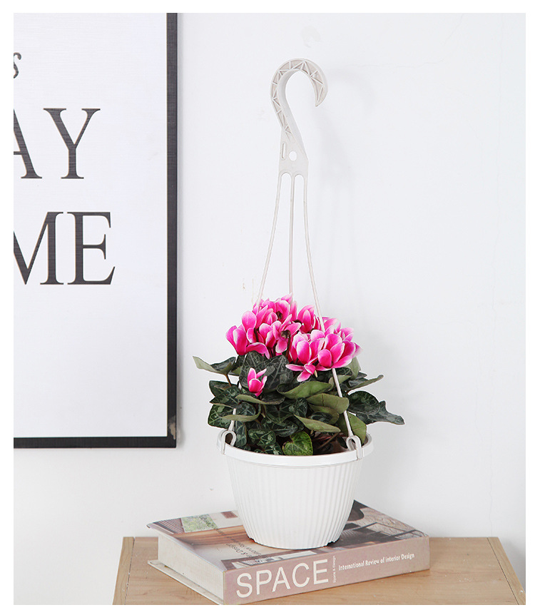 Wholesale Xiaoguoting B165 fishing hook hanging basket flower POTS, brand new material hanging green ivy special indoor flower POTS pic 12