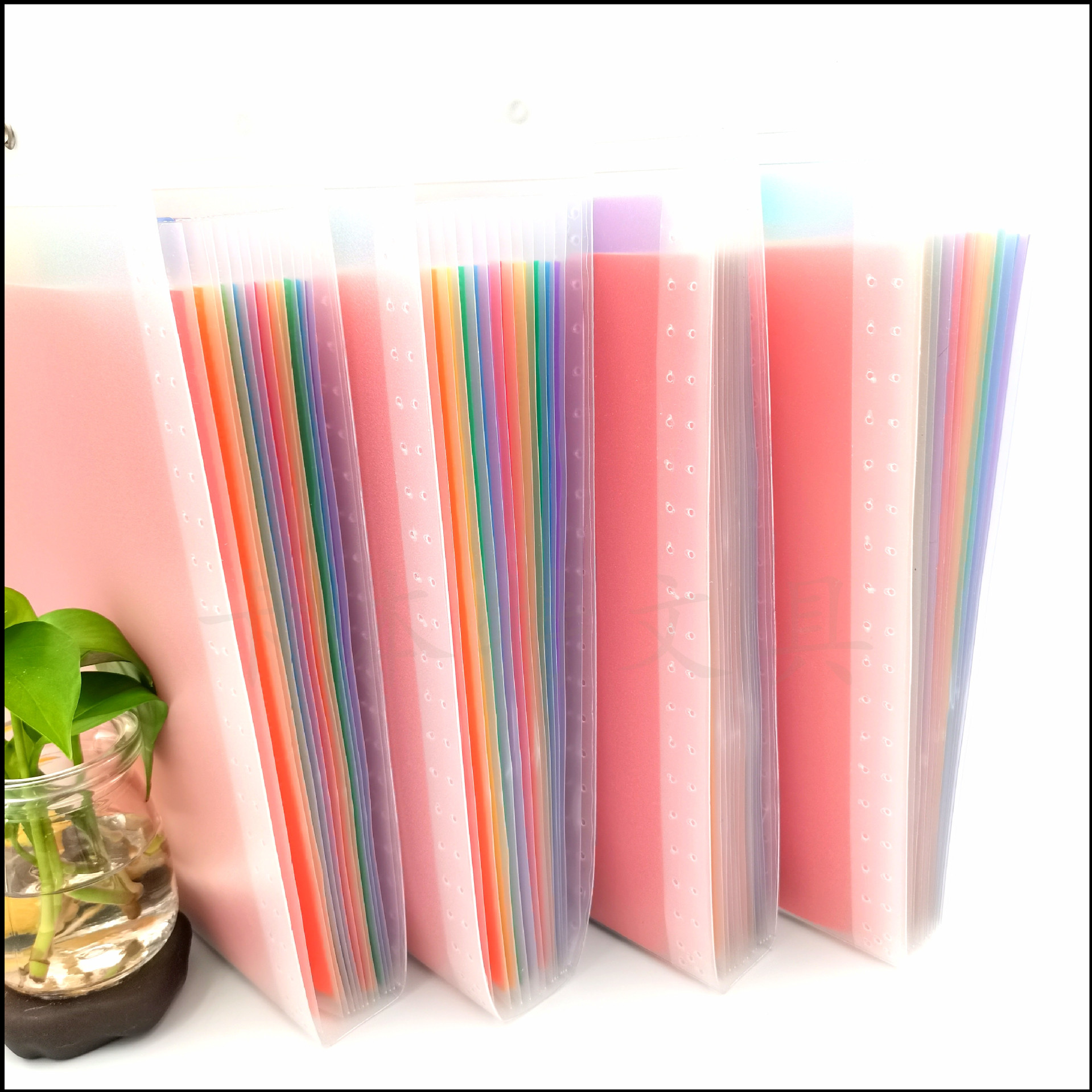 Frosted transparent horizontal organ bag, 13 layers, A4 ticket bag, document bag, binding strap, vertical document storage bag, folder pic 10