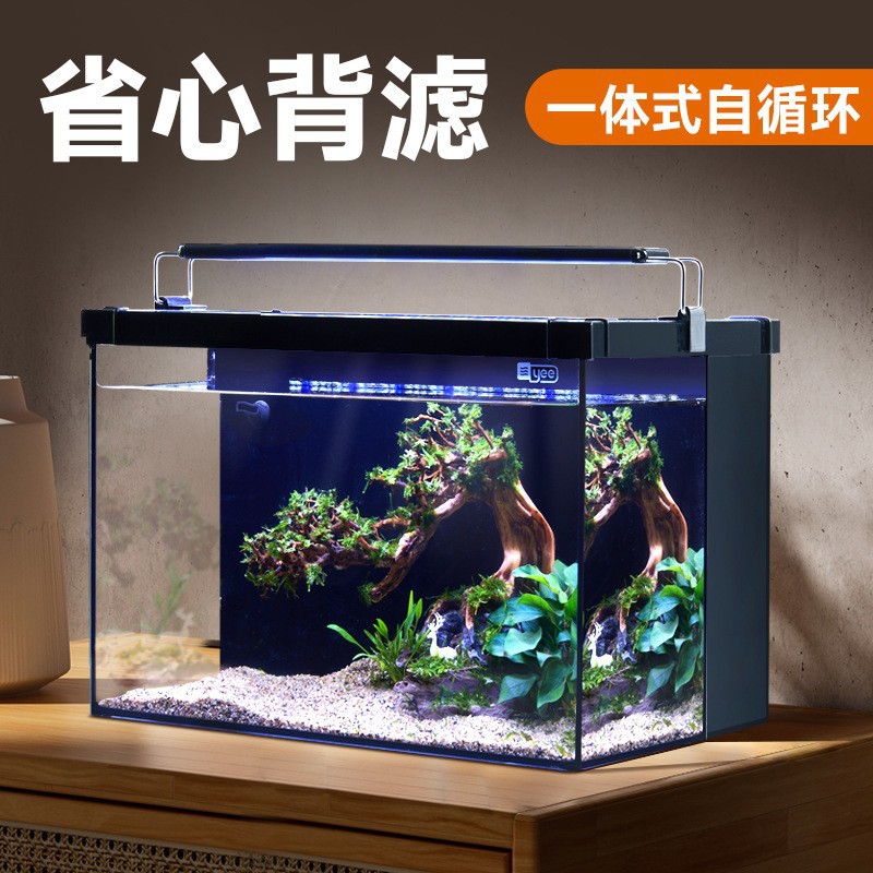 yee Fish Tank Glass gold Crystal ultra-white Small desktop aquarium, home aquatic plant ecological small fish tank, living room fish tank pic 2
