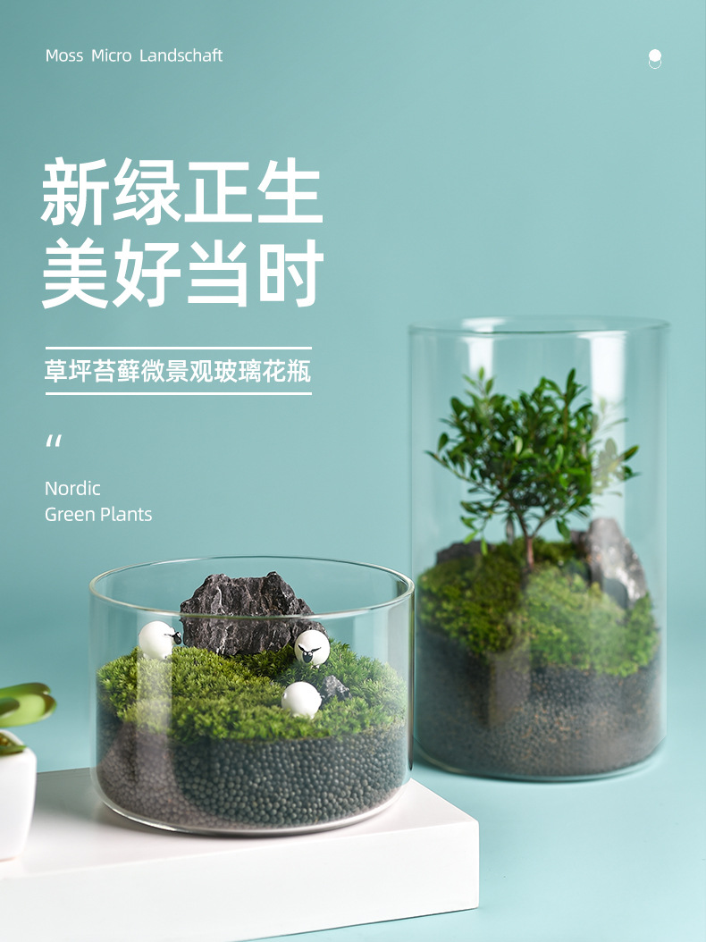 Wholesale transparent micro-landscape glass vase ornaments, hydroponic ecological bottles, diy moss tanks, succulent flower POTS, glass jars pic 9