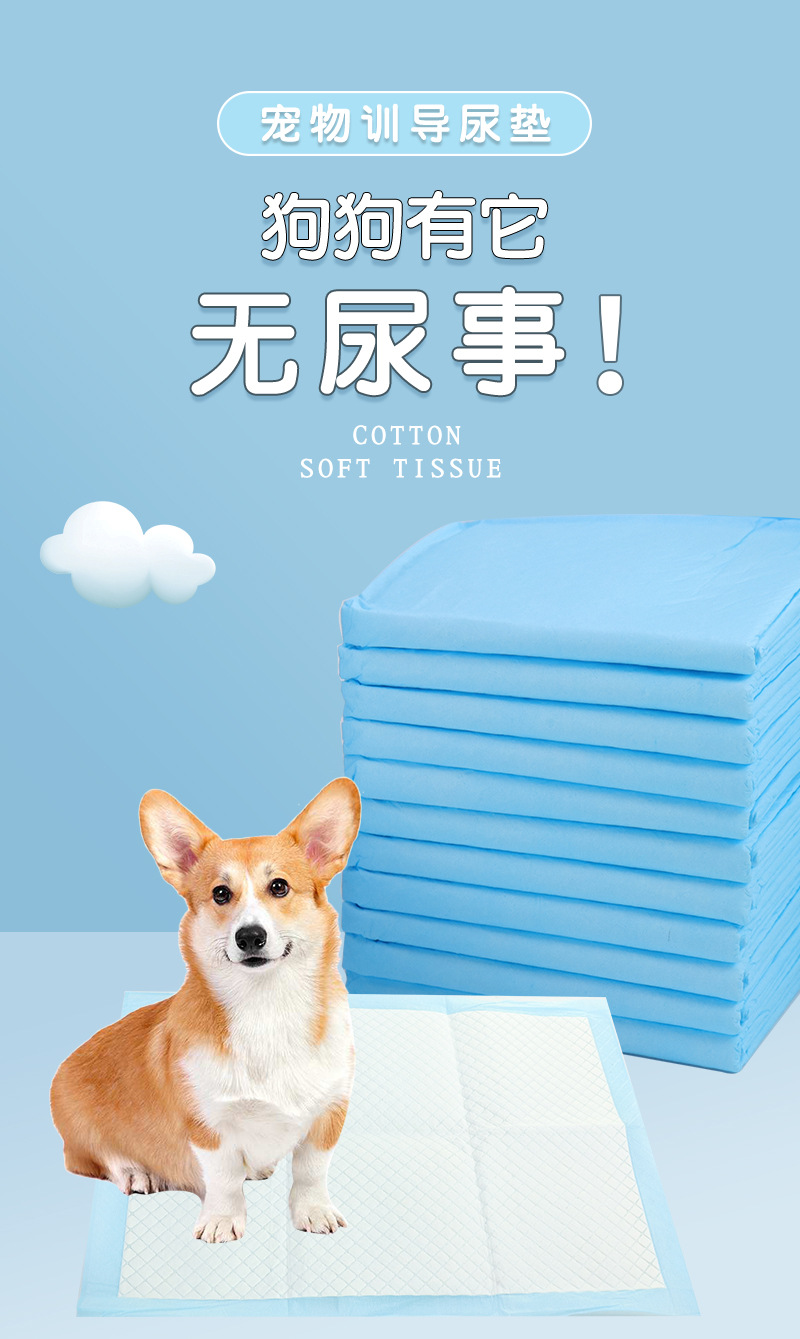 New powerful absorbent pet urine pads, disposable pet diapers, dog diapers and pet supplies in stock from the manufacturer pic 2