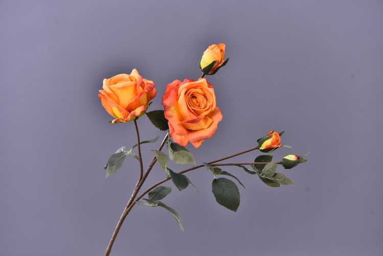 5 pieces of retro charred edge rose artificial flower decoration, artificial flower imitation dried flower, home soft decoration withered and dry, wedding Lanjin artificial rose wholesale pic 54