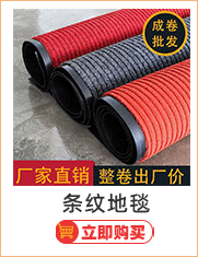 Wholesale of pvc plastic for the entrance door, elevator, hotel welcome, anti-slip wire rings, entrance floor MATS, carpets and foot MATS pic 4
