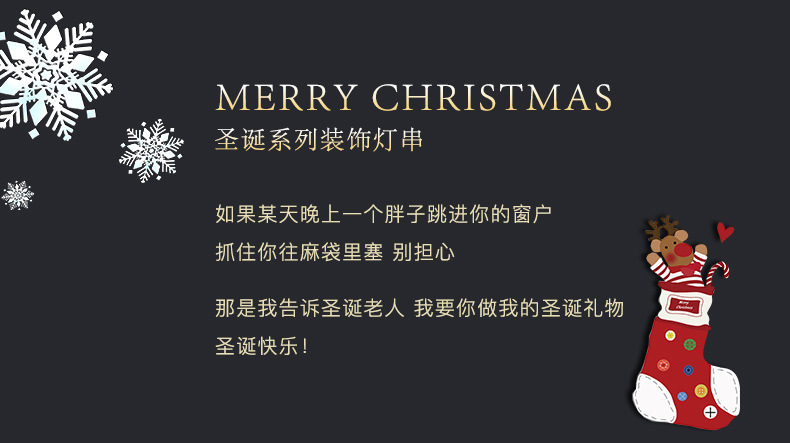 圣诞节灯串详情_03.jpg
