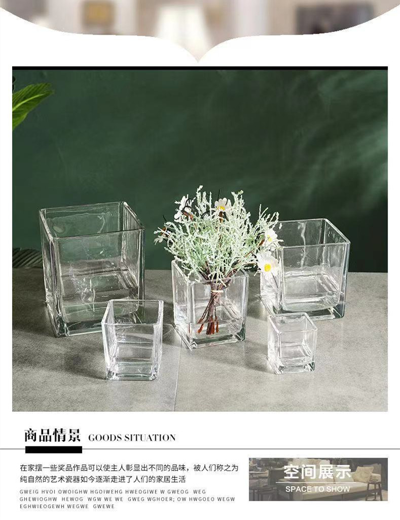 Glass square VAT, square glass flowerpot, hydroponic container, transparent multi-purpose square VAT, green vine plant, multi-functional hydroponic vase, fish tank pic 2