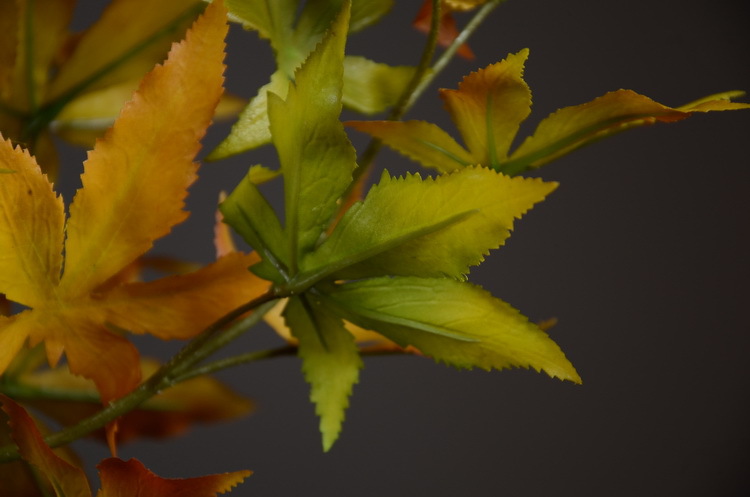 Factory wholesale of artificial flowers, direct sales from the manufacturer, wholesale of artificial green plants, home decoration flowers, red artificial leaves, artificial maple leaves pic 15