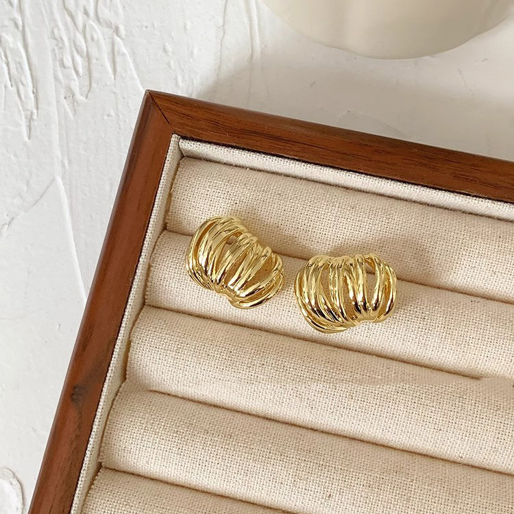 High-end, light luxury metal earrings for women, new style in 2025, with a unique and niche design. Stylish Korean earrings pic 5