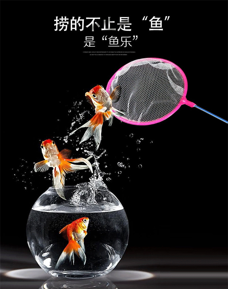金鱼缸小鱼捞渔网 水族渔捞网兜 儿童玩具鱼捞 养鱼专用外贸批发详情18