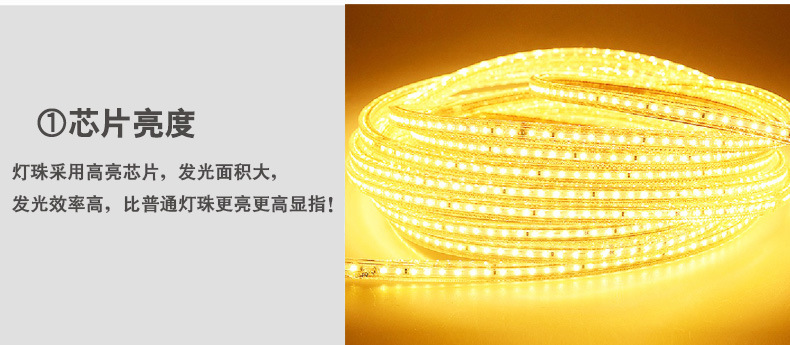 光子照明5050线性灯条5730 rgb柔性亮化贴片led 220v防水高压灯带详情76