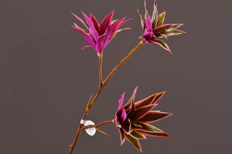 Dongli Factory direct sales, wholesale of artificial flowers, purple mist grass, purple dew grass, home decoration, artificial living room model rooms, artificial flower ornaments, one-piece consignment pic 21