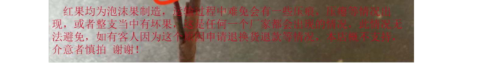仿真红果子发财果年宵花花材冬青果福桶仿真花新年家居装饰摆件详情32