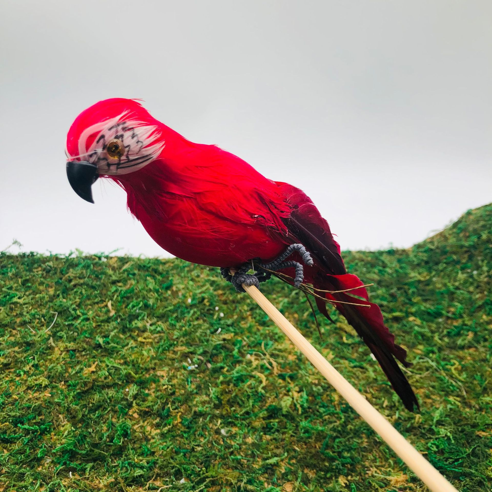 源头工厂供应仿真鹦鹉金刚鹦鹉仿真小鸟鸟蛋羽毛鹦鹉田园装饰鹦鹉详情5