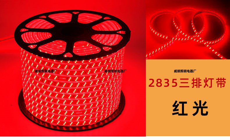 Высокое давление 5050/rgb2835 неоновая водонепроницаемая 220v мягкая силиконовая лампа с оптовой внешней полосой 5730 pic 11